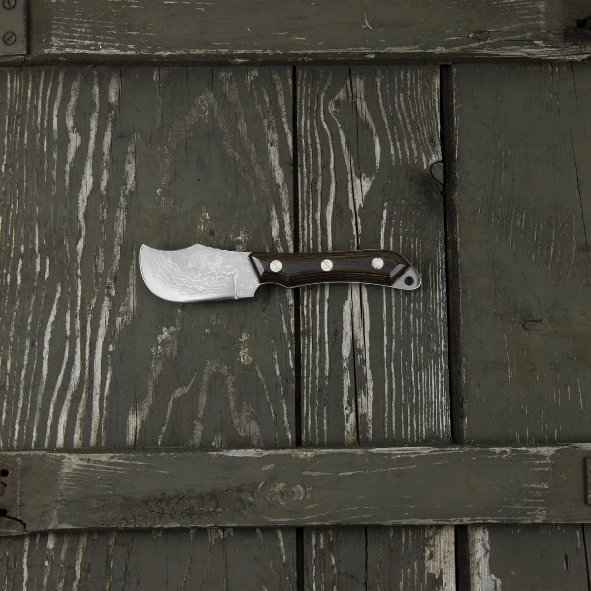 Kanetsune Seki Aogami#2 Seseragi Skinner 6,5 cm – Nóż Myśliwski do Skórowania — zdjęcie 10