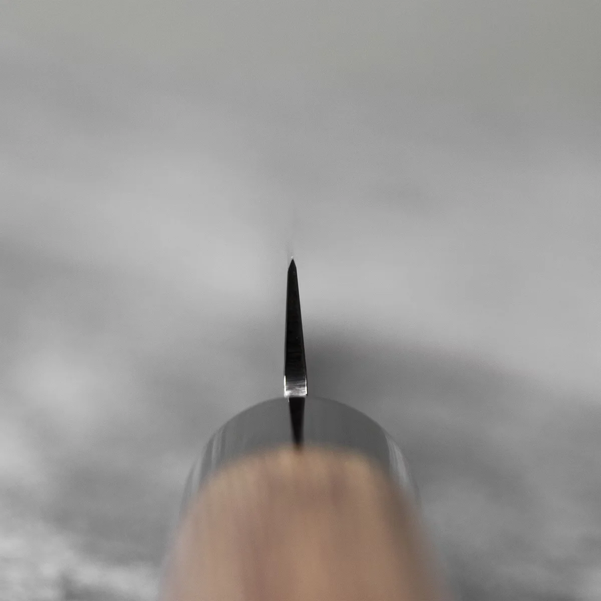Kanetsune Seki 950 DSR-1K6 Nóż Sujihiki 21 cm — zdjęcie 10